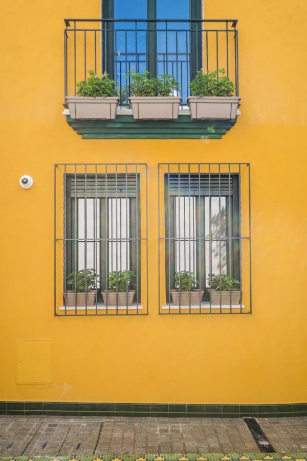 Appartement Wello *